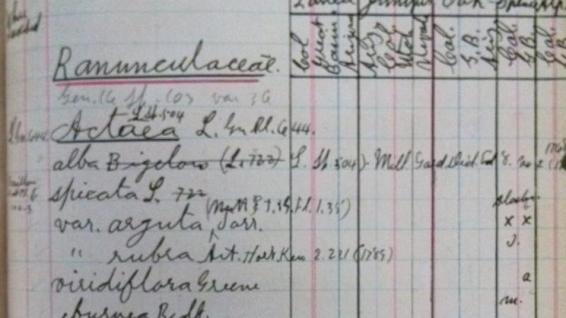 Marcus E. Jones Collection: Pages from Jones’ personal field notebook / diary