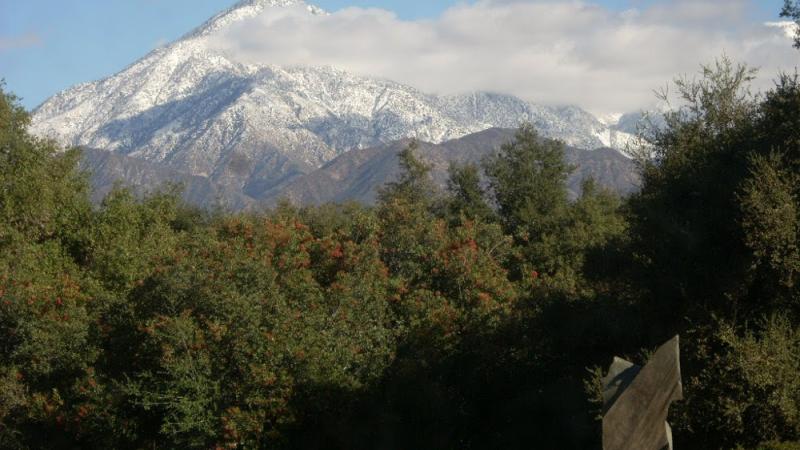 View of the San Gabriel Mountains from Rancho Santa Ana Botanic Garden, Claremon