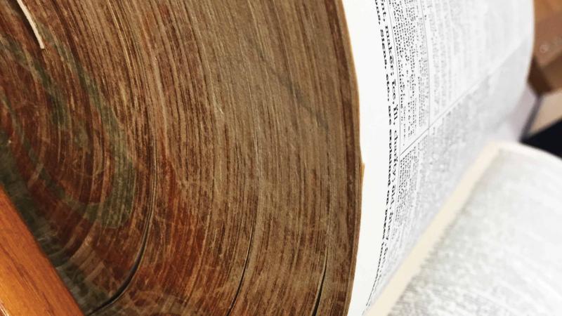 Photo of Webster's Second Dictionary