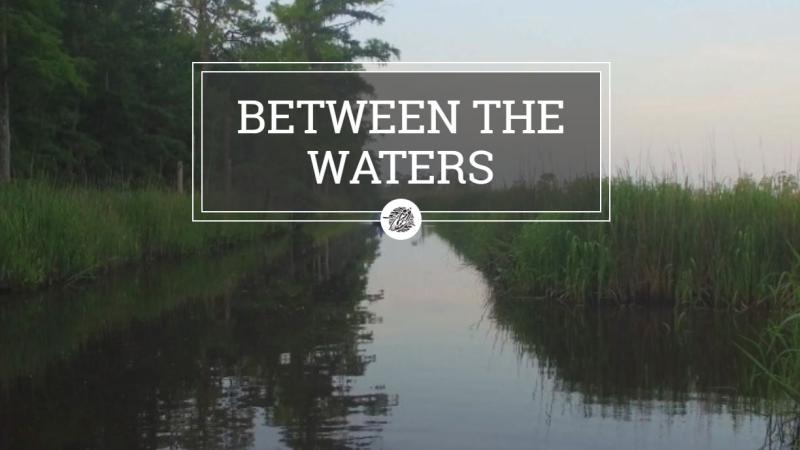Between the Waters, a South Carolina Educational Television website.