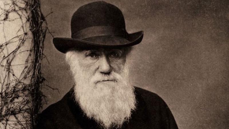 Portrait of Charles Darwin.