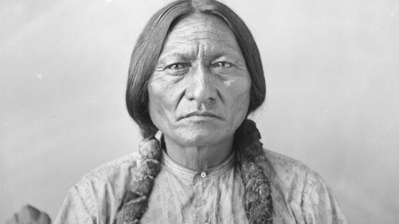 Sitting Bull portrait by D. F. Barry, 1883.