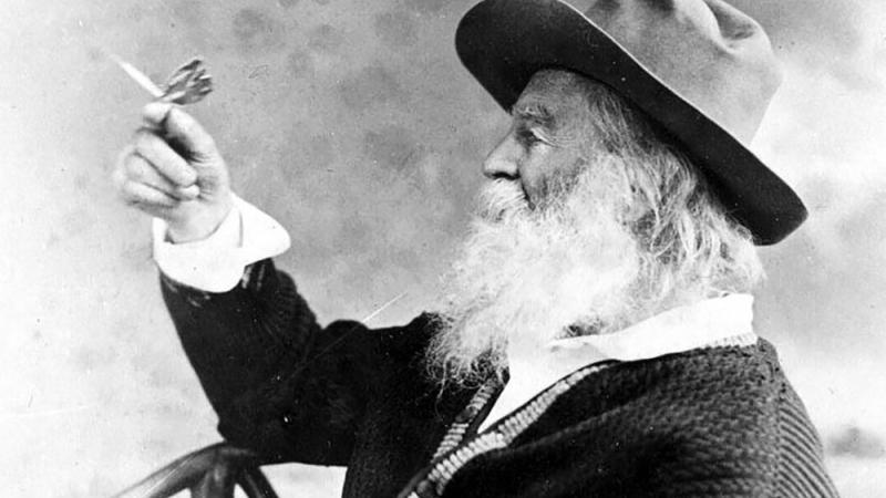 American poet Walt Whitman holding a butterfly.