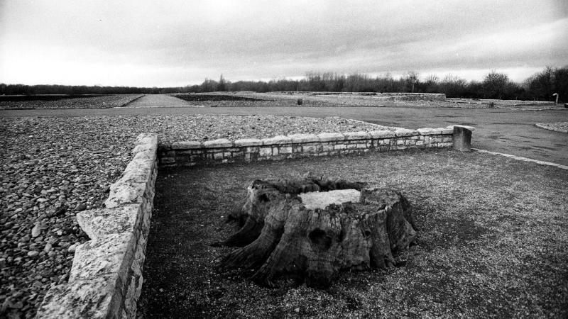 show the b/w photograph of Goethe's stump in the ruins of Buchenwald.