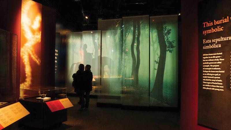 View of a green display in First Kings of Europe
