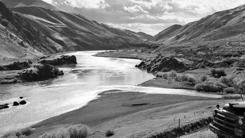 Black-and-white photo of dog overlooking the confluence of the Snake and Powder rivers.